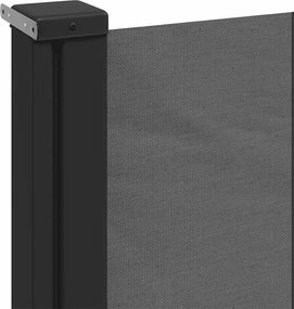 vidaXL Πτυσσόμενη Πλαϊνή Τέντα Ανθρακί 220x300 εκ.