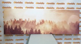 Εικόνα ομίχλης πάνω από το δάσος - 150x50