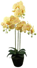 Τεχνητό Φυτό Ορχιδέα Phalaenopsis 8301-6 Κίτρινο 80cm Yellow Supergreens Ύφασμα,Πλαστικό