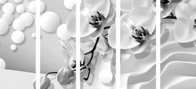 Εικόνα 5 μερών μιας ασπρόμαυρης ορχιδέας σε αφηρημένο φόντο - 100x50