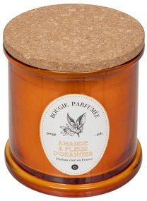 Αρωματικό Κερί 500gr (Φ11.3x12.5) A-S Hapo Amande 204703C
