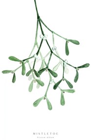 Εικονογράφηση Watercolor mistletoe illustration, Blursbyai