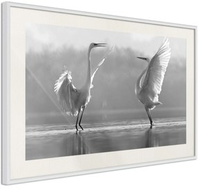 Αφίσα - Black and White Herons - 90x60 - Μαύρο - Χωρίς πασπαρτού