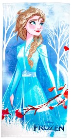 Παιδική Πετσέτα Θαλάσσης (70x140) Dimcol Frozen 10