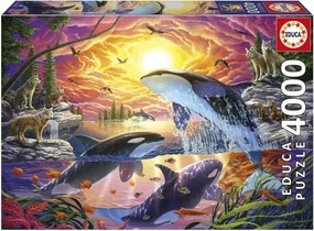 Παζλ Educa Orcas y Lobos 4000 Τεμάχια