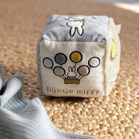Κύβος Δραστηριοτήτων Με Ήχο Miffy Fluffy Μέντα 47-3927