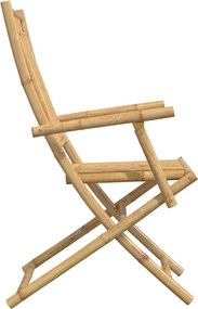 vidaXL Πτυσσόμενες Καρέκλες 4 τεμ. 53x66x99 εκ. Μπαμπού