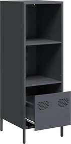 vidaXL Ντουλάπι Ανθρακί 35x39x103,5 εκ. από Χάλυβα