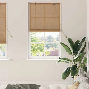 vidaXL Ρολά και Σκίες Παραθύρων Ανοιχτό καφέ 80 x 220 cm Μπαμπού