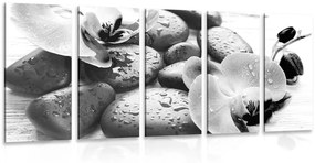 Εικόνα 5 μερών όμορφη αλληλεπίδραση πέτρες και ορχιδέες σε ασπρόμαυρο - 100x50