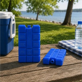 ΦΟΡΗΤΆ ΨΥΓΕΊΑ - ΠΑΓΟΚΎΣΤΕΣ COOLING ELEMENT SET 2PCS 400 GRAM