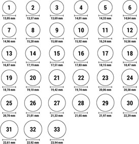 Γυναικεία Δαχτυλίδια One Jewels OJDFR02S-6 Ασημί