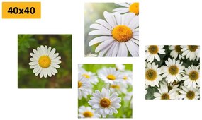 Σετ εικόνων μαγικά λουλούδια - 4x 40x40