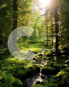 Intra Συλλεκτικό Ξύλινο Παζλ Plywood  4mm - Ειρηνική σκηνή ενός μικρού ρέματος σε ένα πυκνό δάσος Σε Ξύλινο Κουτί - Διαστάσεις: 10x10 cm – 25 κομμάτια