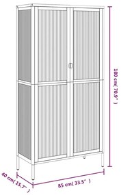 Ψηλό Ντουλάπι Μαύρο 85 x 40 x 180 εκ. από Γυαλί και Ατσάλι - Μαύρο