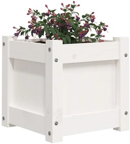 vidaXL Ζαρντινιέρες 2 τεμ. Λευκό από Μασίφ Ξύλο Πεύκου