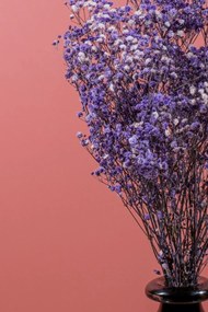 Stewehome Δέσμη αποξηραμένων λουλουδιών Μωβ