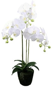 Τεχνητό Φυτό Ορχιδέα Phalaenopsis 6301-6 80cm White Supergreens Ύφασμα,Πλαστικό