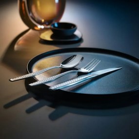 Σετ μαχαιροπήρουνων WMF Sentic Cromargan Protect, 30 τεμάχια, Ανοξείδωτο ατσάλι 18/10, Προστασία από γρατσουνιές και φθορές, Ασημί