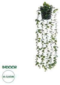 Artificial Garden HANGING EUCALYPTUS LEAF 20884 - Τεχνητό Κρεμαστό Διακοσμητικό Φυτό Φύλλα Ευκάλυπτου Φ17 x Y60cm