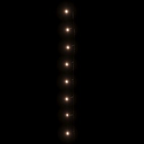 vidaXL Φωτάκια με 300 LED Θερμό Λευκό 30 μ. από PVC