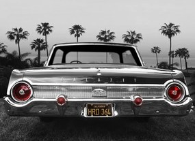 Φωτογραφία Ford Galaxie 500XL, Larry Butterworth