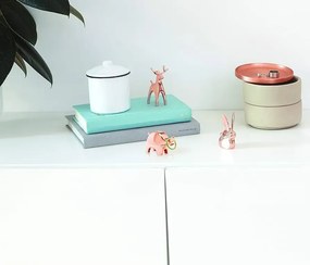 Σετ 4 Μεταλλικές Βάσεις δαχτυλιδιών Anigram Umbra