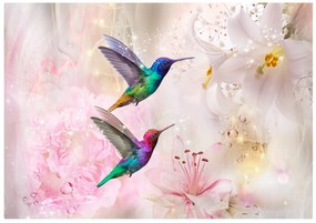 Φωτοταπετσαρία - Colourful Hummingbirds (Pink) 300x210