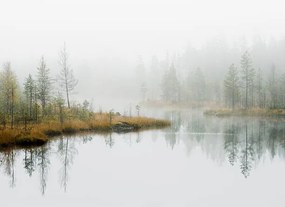 Φωτογραφία Water in forest, Roine Magnusson