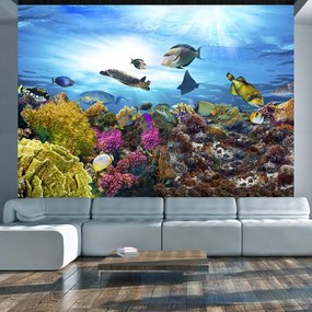 Φωτοταπετσαρία - Coral reef 100x70