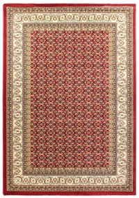 Χαλί (250x300) Royal Carpet Olympia 5238B Red