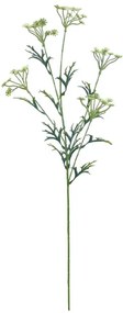 MarHome ΚΛΑΔΙ ΚΑΡΑΜΠΟΛΑ ΛΕΥΚΟ - Y80cm 24/120KIB  00-10024