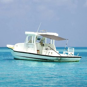 vidaXL Επέκταση Σκιάστρου Σχήμα Τ Ανθρακί 174x205x(115-194) εκ.