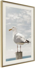 Αφίσα - Curious Seagull - 20x30 - Χρυσό - Με πασπαρτού