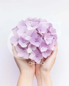 Intra Συλλεκτικό Ξύλινο Παζλ Plywood 4mm - Μπουκέτο με μωβ λουλούδια σε άσπρο φόντο Σε Ξύλινο Κουτί - Διαστάσεις Puzzle: 10x10 cm – 25 κομμάτια