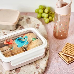 Φαγητοδοχείο (18x13x7) Petit Monkey Bento Dino