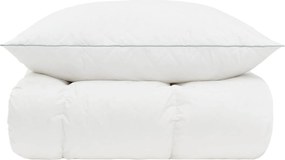 vidaXL Σετ πάπλωμα 90% χήνας FULDA 2 τμχ. 150 x 200 cm Χειμώνας Λευκό