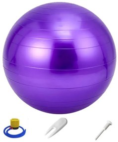 Μπάλα Γυμναστικής Anti-Burst Με Τρόμπα Level-S 65cm 2.5mm Μωβ L32856