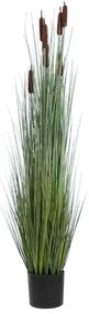 Τεχνητό Φυτό Typha Angustifolia Grass 20113 Φ50x150cm Brown-Green GloboStar PVC