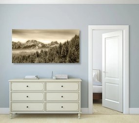 Εικόνα παγωμένων βουνών σε σχέδιο σέπια - 100x50