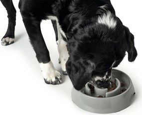 Ταΐστρα σκύλων Hunter μελαμίνη 550 ml