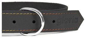 Κολλάρο Σκύλου Gloria Oasis Μαύρο (1,5 x 40 cm)