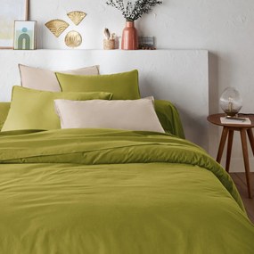 Παπλωματοθήκη από προπλυμένο βαμβάκι, Scénario