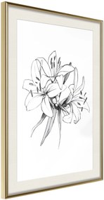 Αφίσα - Sketch of Lillies - 20x30 - Χρυσό - Με πασπαρτού