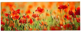 Πίνακας Καμβάς Με Φως Led 239SHN1213 90x30cm Multi Wallity Horizontal Ξύλο, Καμβάς