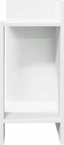 vidaXL Πλαϊνά Τραπεζάκια 2 τμχ με ράφι Λευκό 25,5x27x60 cm