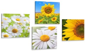 Σετ εικόνων με όμορφα λουλούδια στο λιβάδι - 4x 60x60