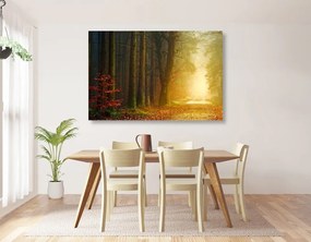 Εικόνα μονοπάτι στο δάσος - 120x80
