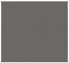 vidaXL Κουβέρτα Βαρύτητας Γκρι 200 x 230 εκ. 13 κ. Υφασμάτινη