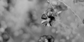 Εικόνα λουλουδιών σε μαύρο και άσπρο - 120x60